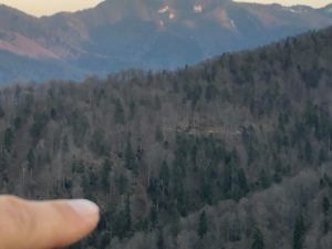 Drum de TAF pentru o viitoare exploatare la altitudine de 850 metri. Brașov.